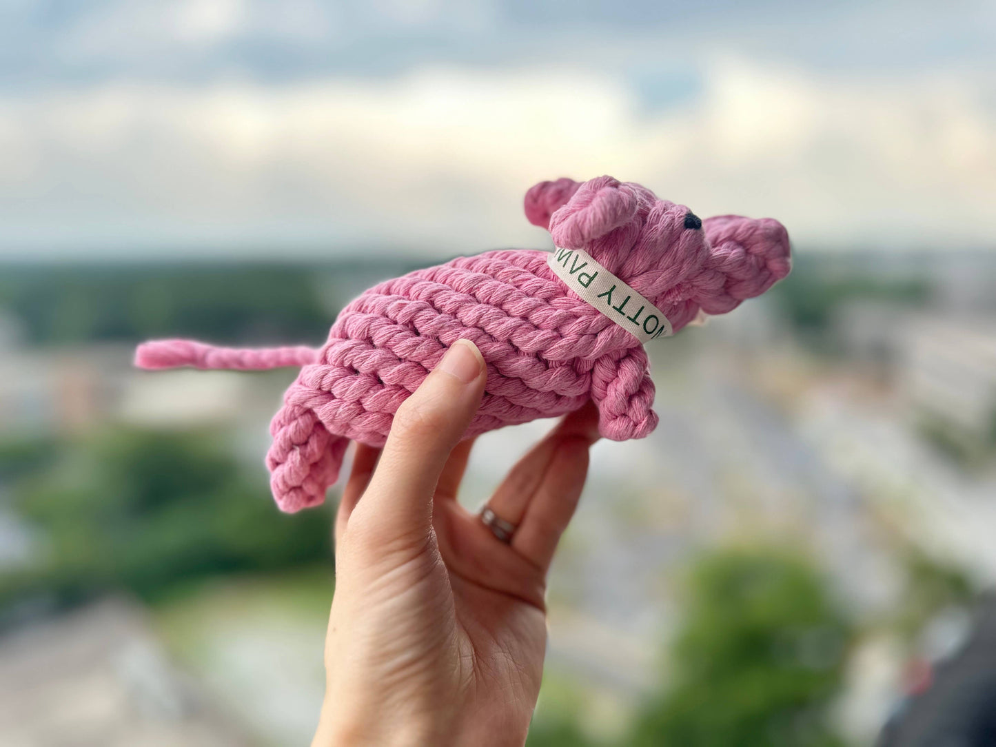 Blush Piggy Rope Dog Toy