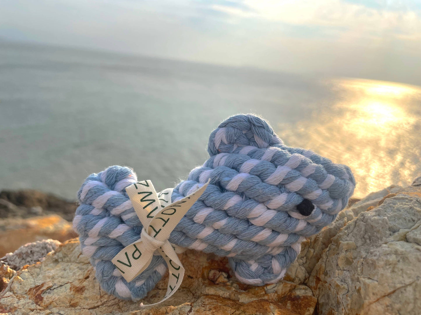 Happy Fish Pet Rope Toys