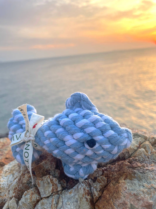Happy Fish Pet Rope Toys