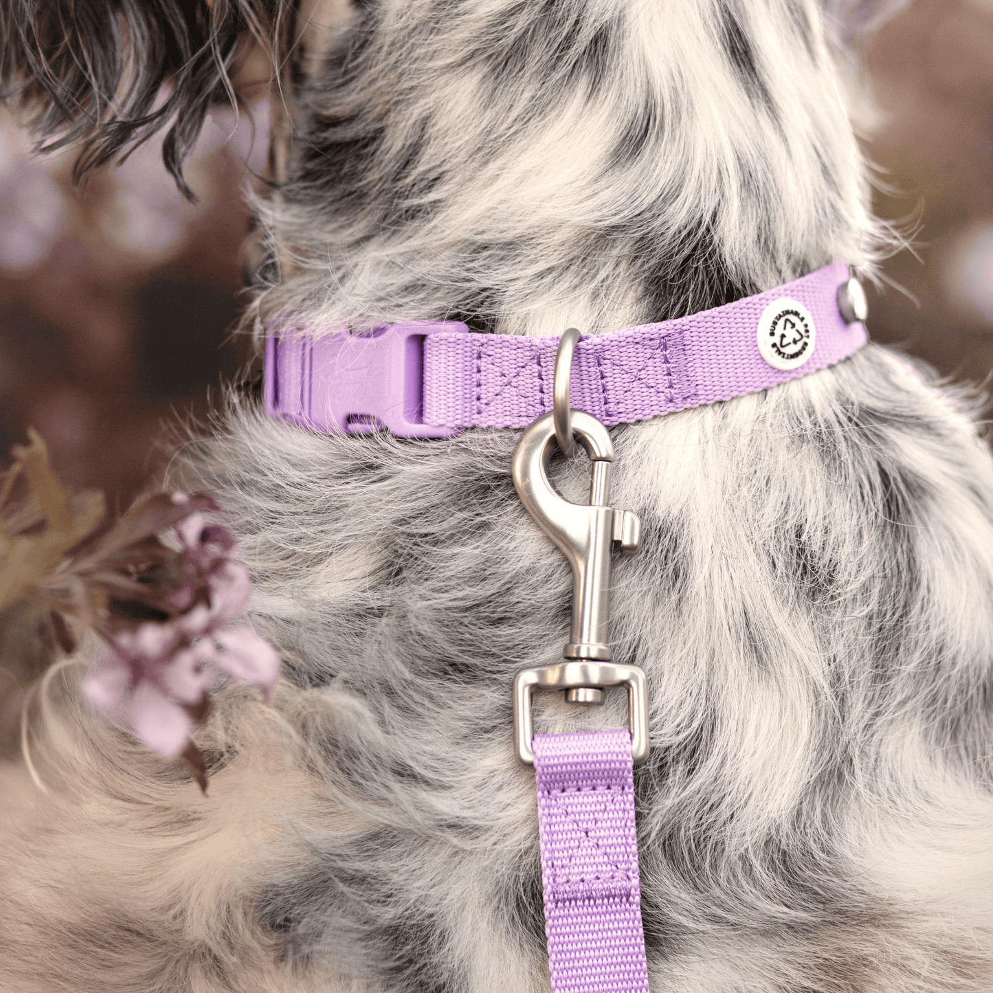 Lilac Dog Collar