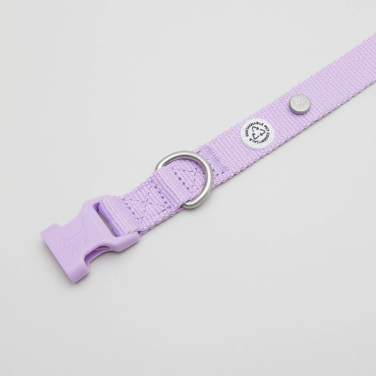 Lilac Dog Collar