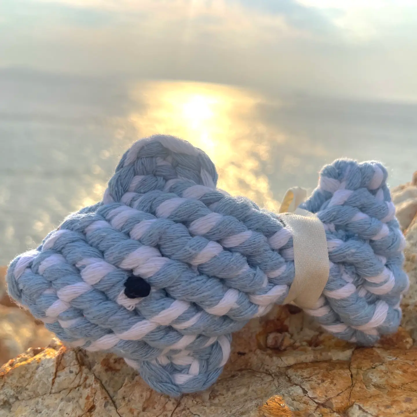 Happy Fish Pet Rope Toys