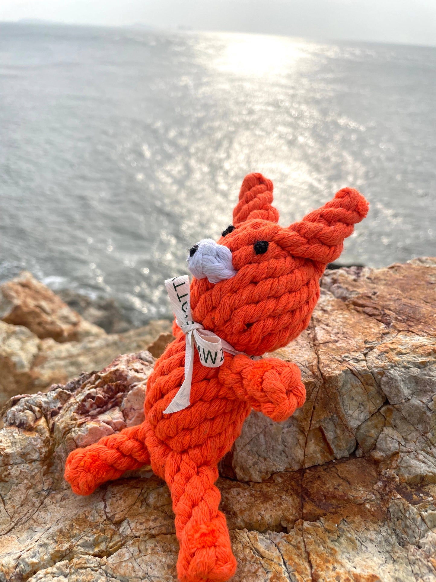 Handcrafted Eco-Fox Chew Rope Toys