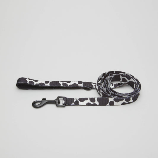 Cow Dog Leash