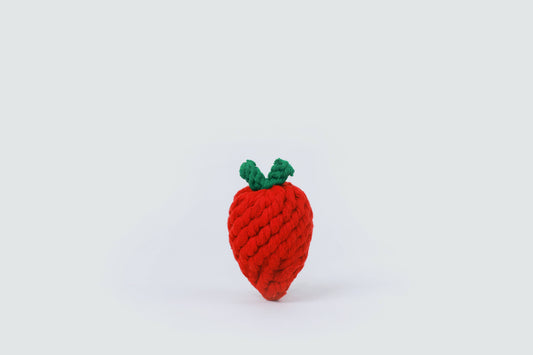 Handmade Fruit and Vegetable Rope Toys, Macrame Toys